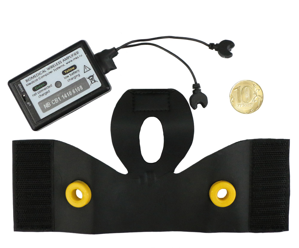 Hardware-software complex Physobelt: vest for a rat