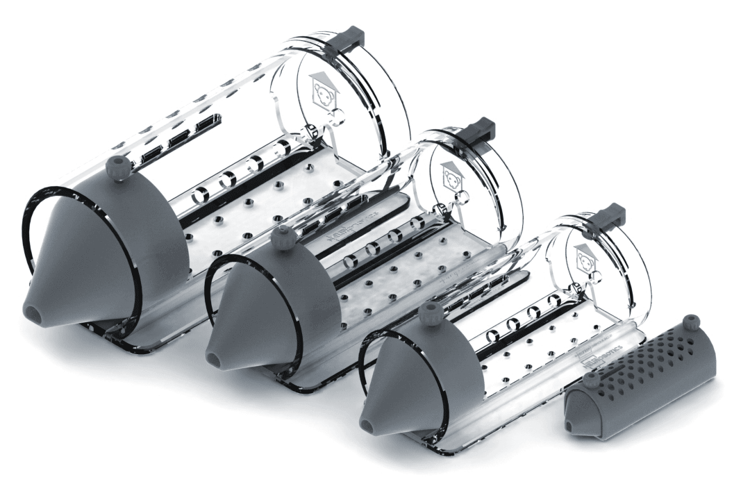 Restrainer Teremok- retainer for rodents of small and medium sizes for laboratory experiments